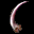 543749008.gif