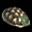 i232.gif